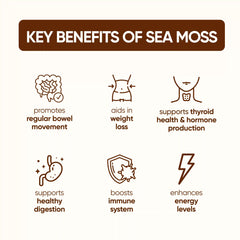 Organic Sea Moss (Pills)
